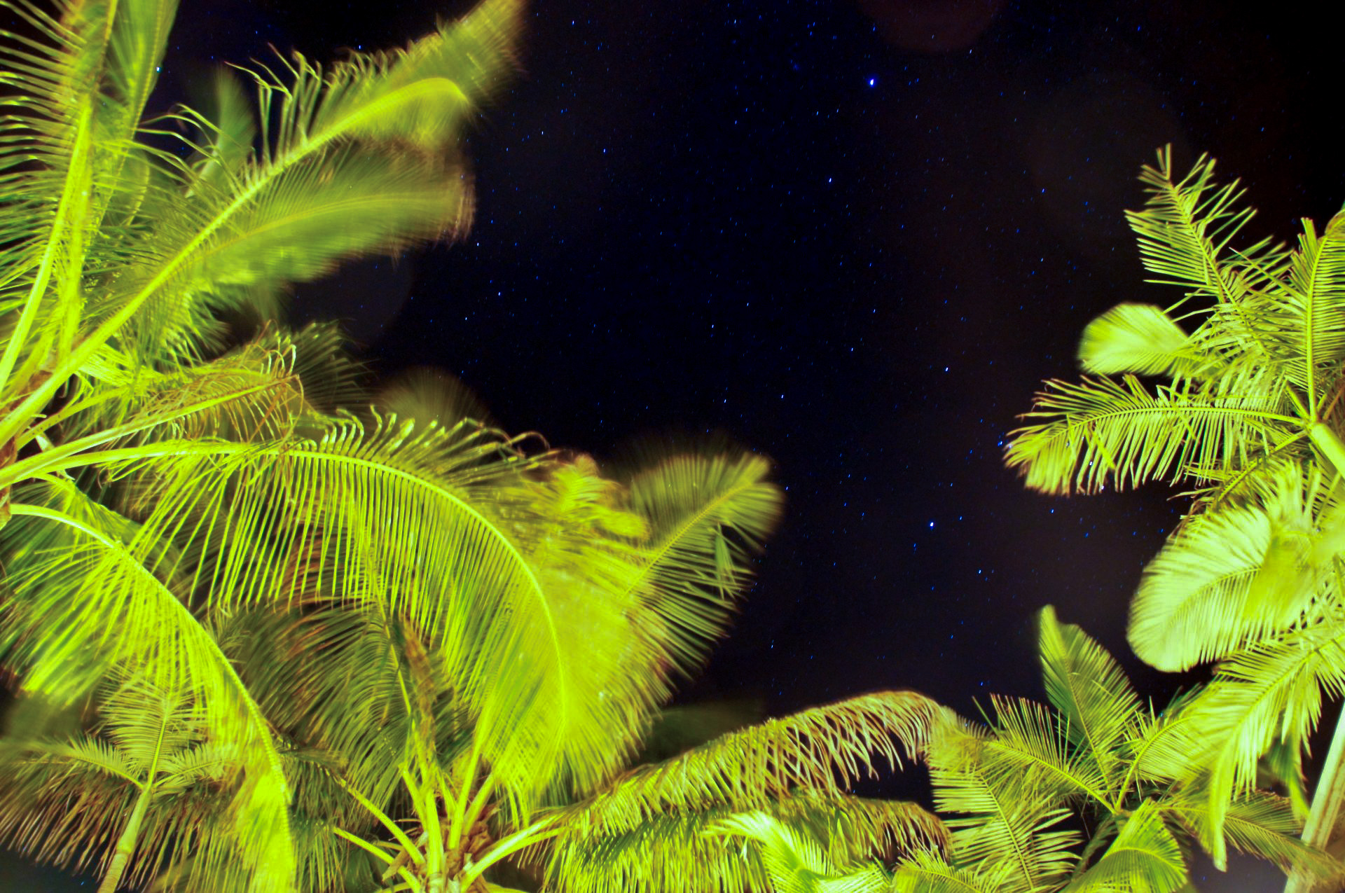 Noosaville, Australia