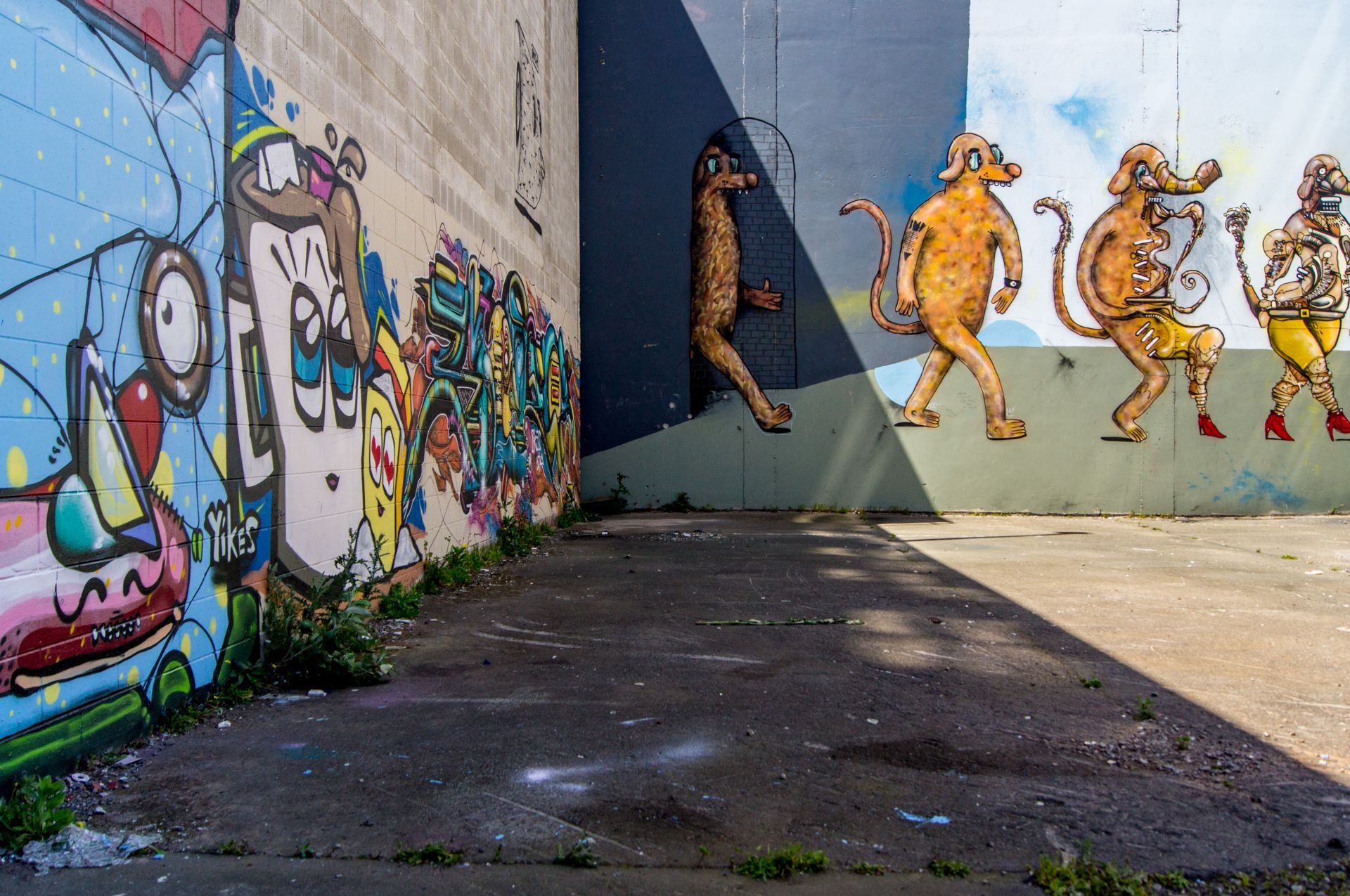 Graffiti in Christchurch, New Zealand